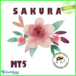 Sakura EA