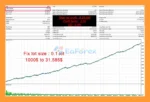 Squid X EA Backtest Resultss