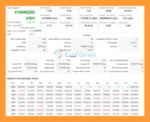 The BTC Winner MT5 Backtest Results