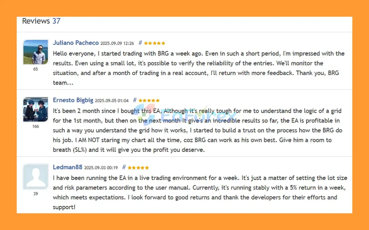 User Reviews