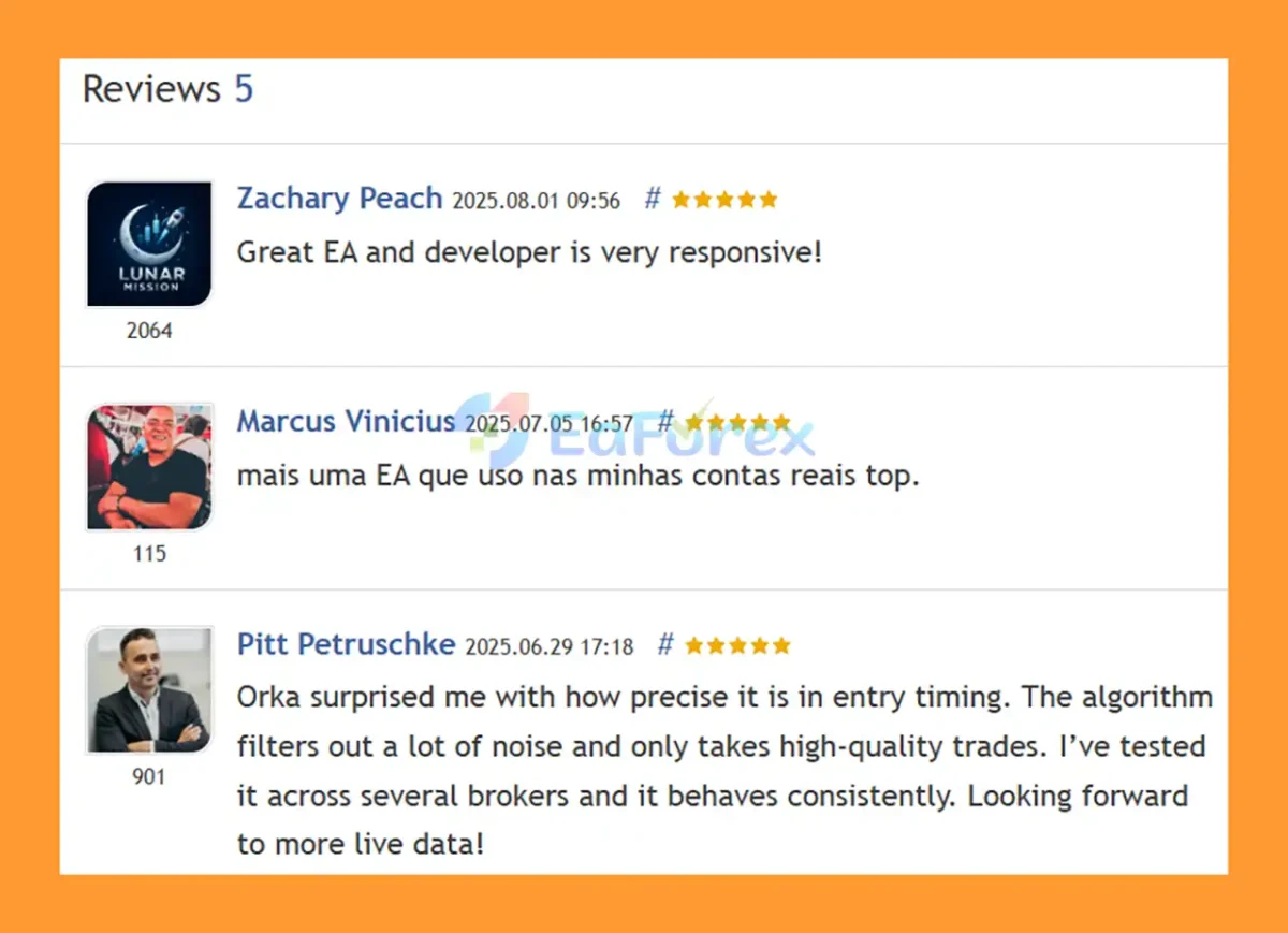 User Reviews