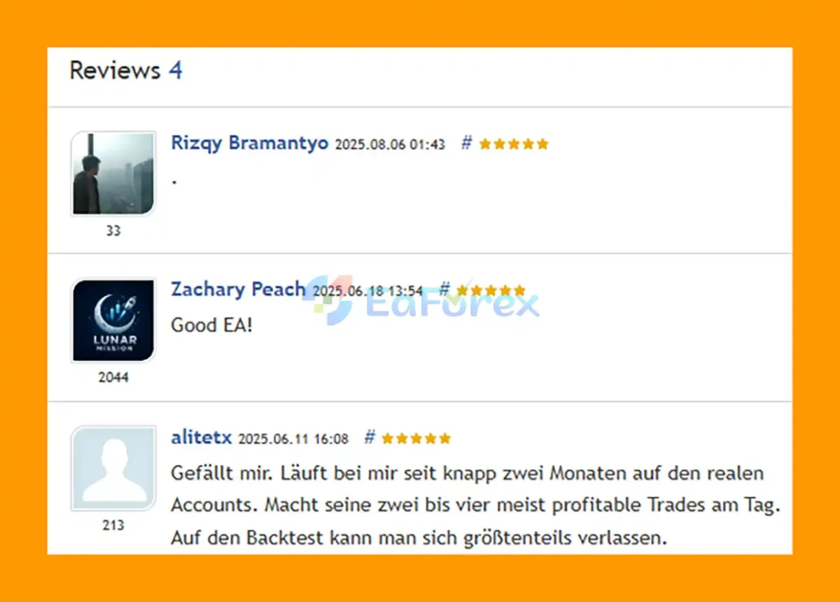 User Reviews