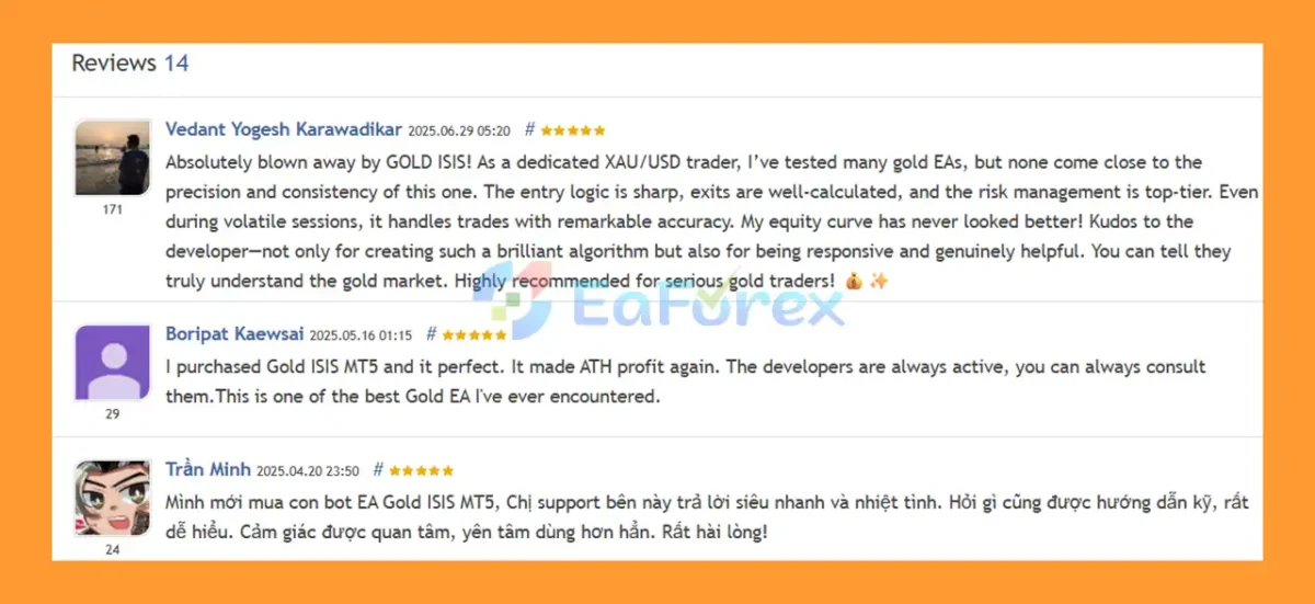 User Reviews