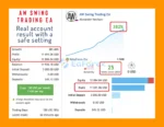 AW Swing Trading EA MT5 Signal Results