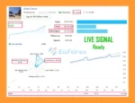 Alins Crown EA Live Result