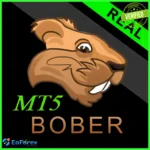 Bober Real EA