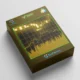 Bonnitta Gold EA MT5