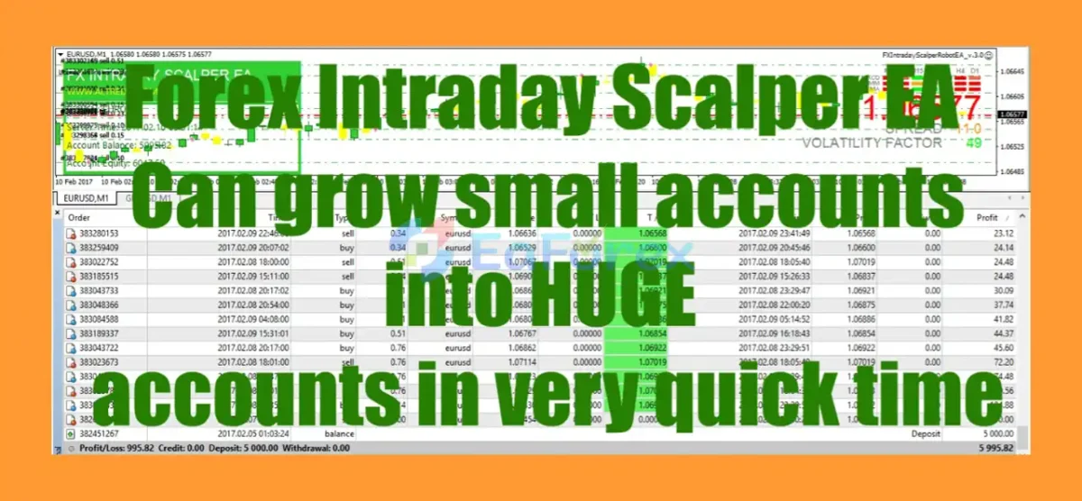 FX Intraday Scalper EA mt4 results