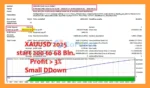 Gold Predictor MT4 Backtest