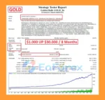 Golden Bulls GOLD EA Backtest