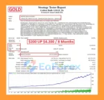 Golden Bulls GOLD MT4 Backtest