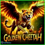 Golden Cheetah EA