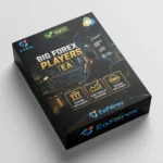 Big Forex Players MT5