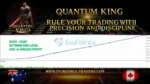 Quantum King EA MT5 BacktestS
