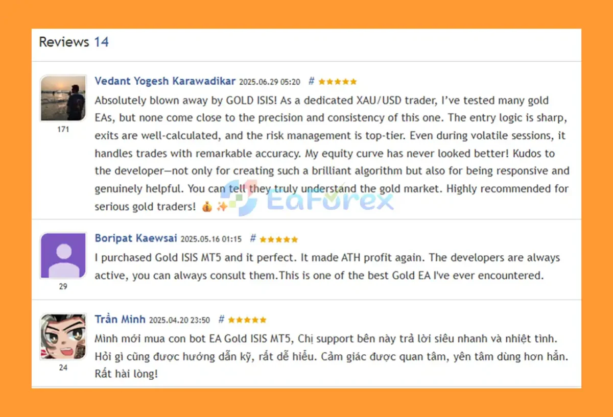 User Reviews