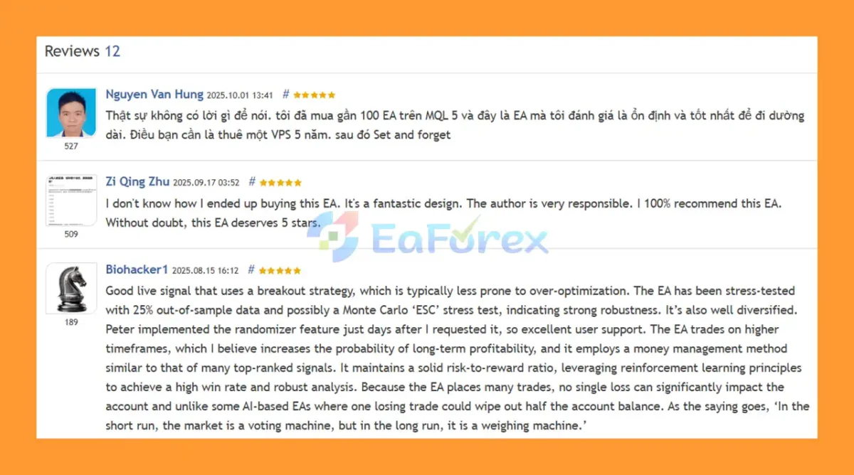 User Reviews