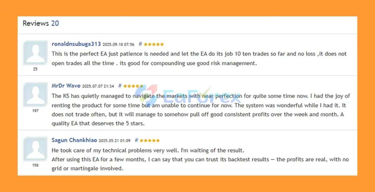 User Reviews