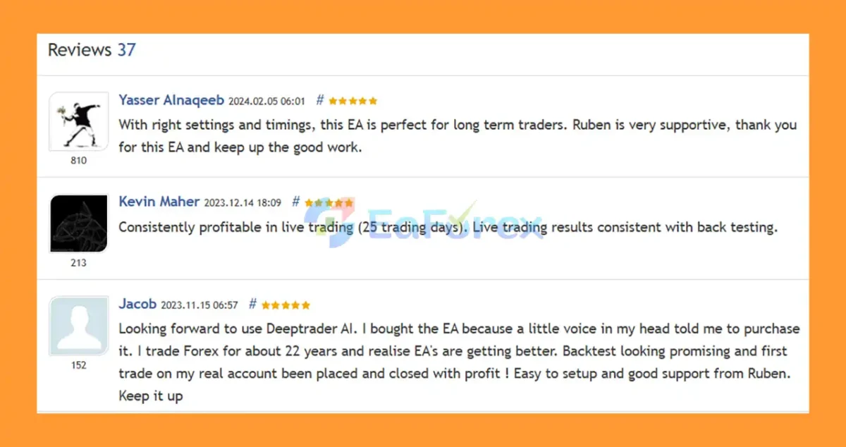 User Reviews