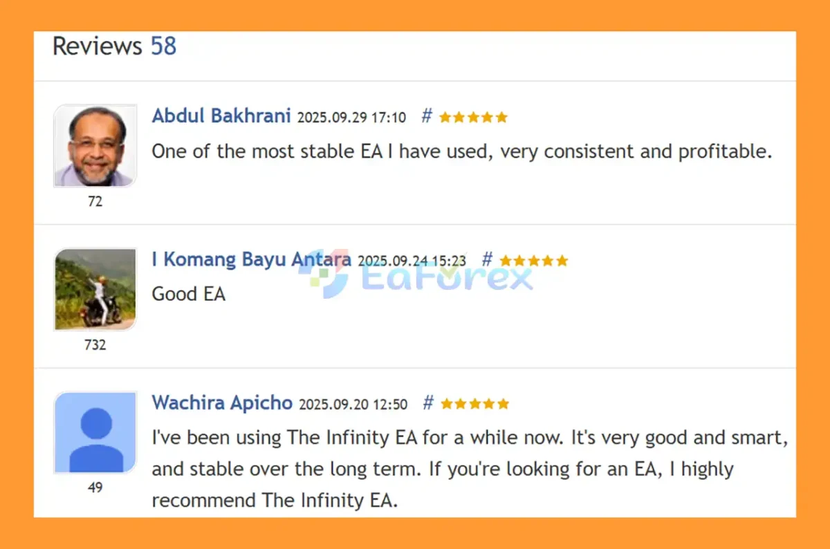 User Reviews