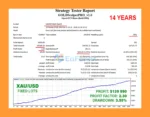 GOLD Scalper PRO MT5 Backtests
