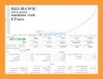 Red Hawk MT5 Backtest
