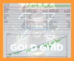 Zigma Gold Grid EA MT5 Backtest