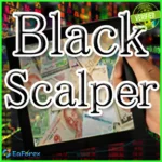 BlackScalper EA