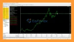 Algo Gold EA MT4 Results