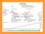 Gold Leader mt4 Backtest