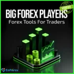 Big Forex Players EA MT4