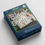 BlackScalper EA MT4