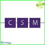 CSM System EA MT4