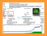 First Shot EA MT4 Backtest