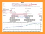 Martex EA MT4 Backtests