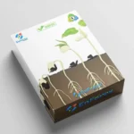 The seed of a big tree MT4