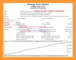 Trillion Pips X EA MT4 Backtests