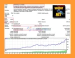 VectorNZT EA MT4 Backtest