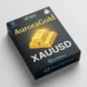 Aurora Gold MT5
