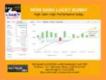 WOW Dash Lucky Bunny EA Myfxbook