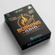 Burning Grid EA