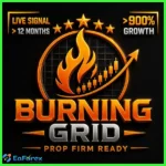 Burning Grid EA MT5