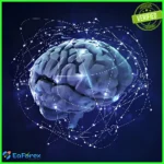 Neural network NGZ MT4 EA