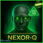 Nexor Q EA MT5