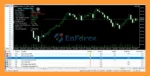 Raja Trading Pro EA MT5 review