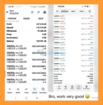 Raja Trading Pro EA MT5 reviews