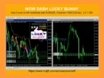 WOW Dash Lucky Bunny EA MT4 review