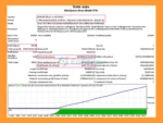 Robi Auto EA MT4 Backtest