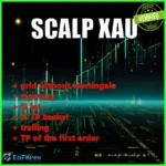 M5 Scalp XAU EA MT5