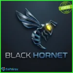 Black Hornet EA MT4
