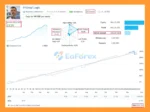 Prizmal Logic EA MT5 Signal Results